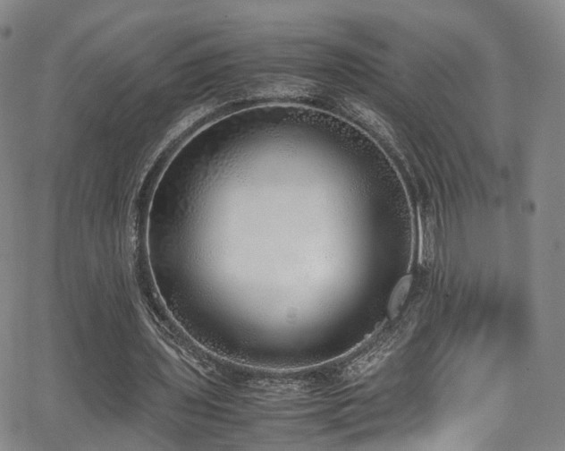 X0000062930435200601131515