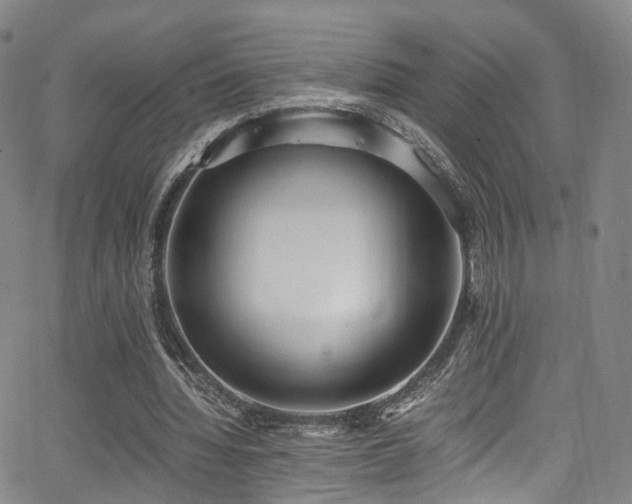 X0000062930436200601131515