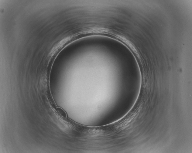 X0000062930437200601131515