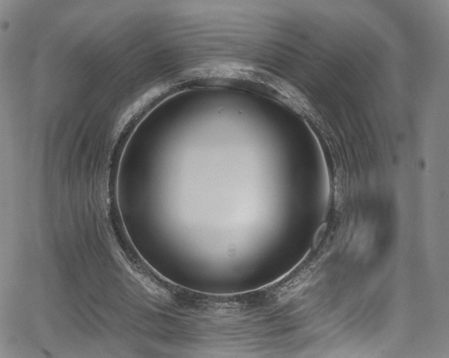 X0000062930438200601131515