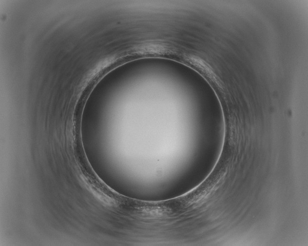 X0000062930439200601131515