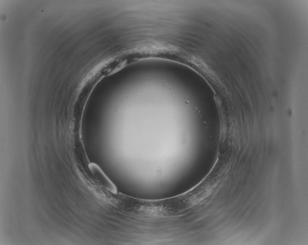 X0000062930440200601131515