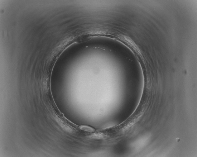 X0000062930441200601131515