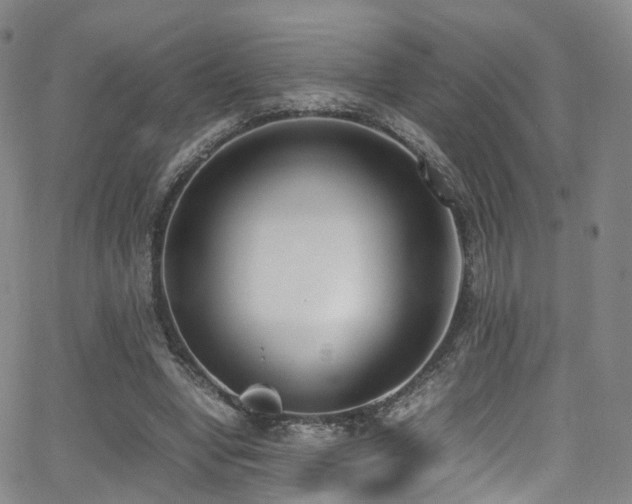 X0000062930442200601131515