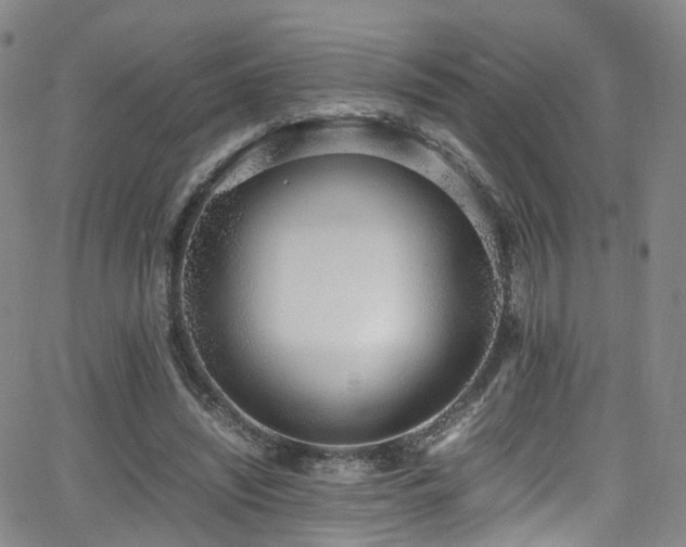 X0000062930444200601131515