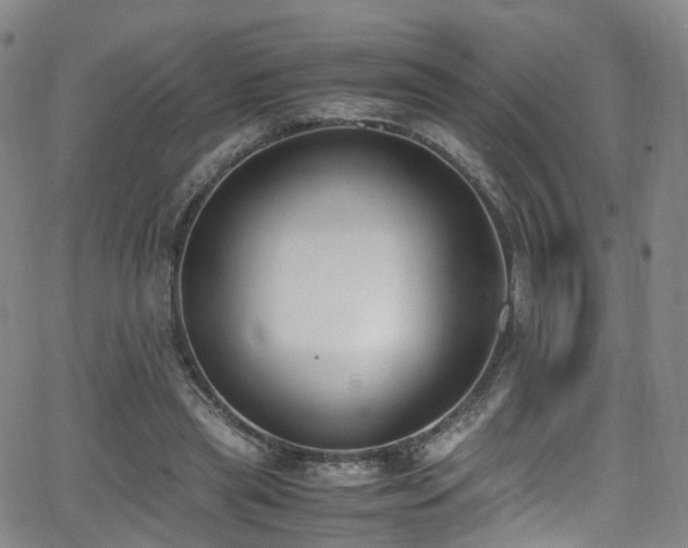 X0000062930445200601131515