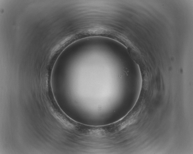 X0000062930446200601131515