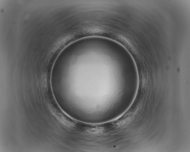 X0000062930447200601131515