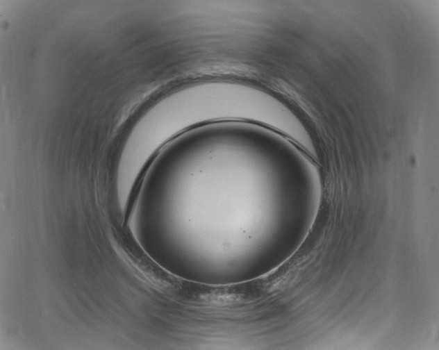 X0000062930448200601131515