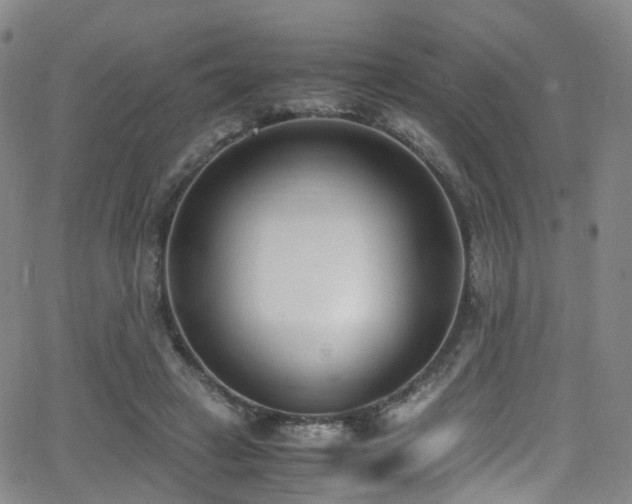 X0000062930449200601131515