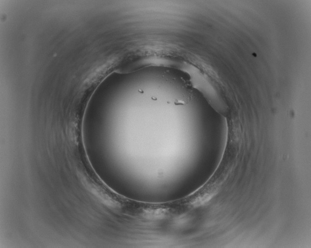 X0000062930450200601131515