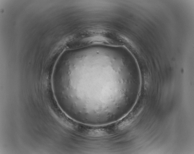 X0000062930451200601131515