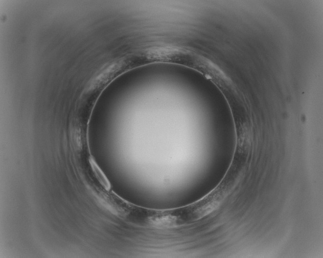 X0000062930452200601131515