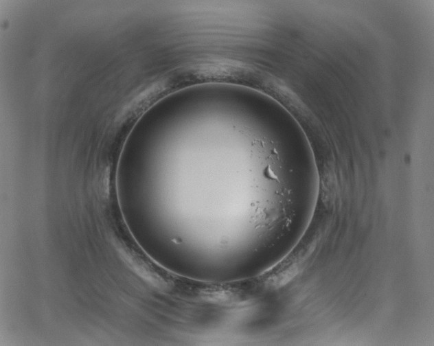 X0000062930454200601131515