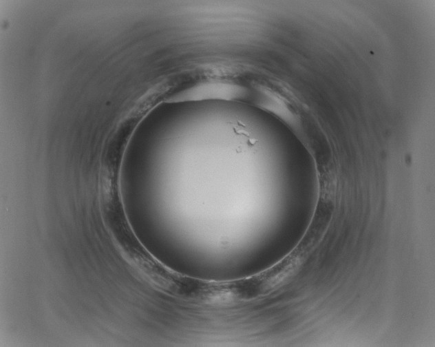 X0000062930456200601131516