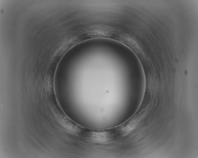 X0000062930457200601131516