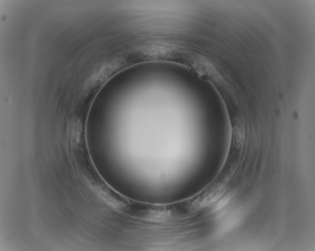 X0000062930458200601131516