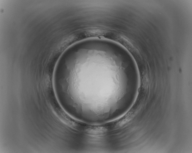 X0000062930459200601131516