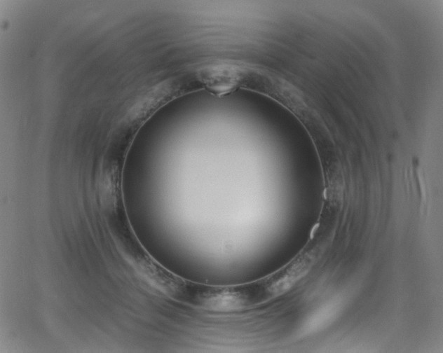 X0000062930460200601131516