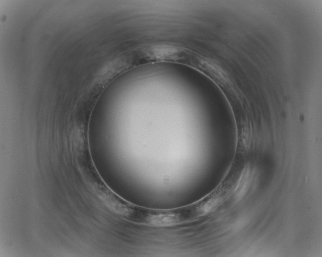 X0000062930461200601131516