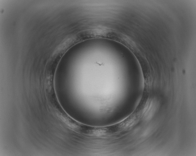 X0000062930462200601131516