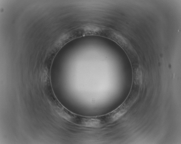 X0000062930463200601131516