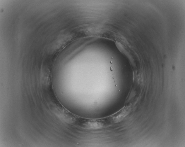 X0000062930464200601131516