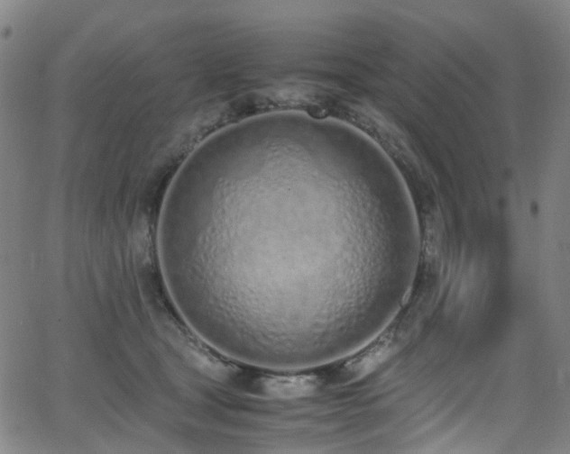 X0000062930465200601131516