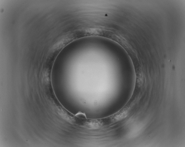 X0000062930466200601131516