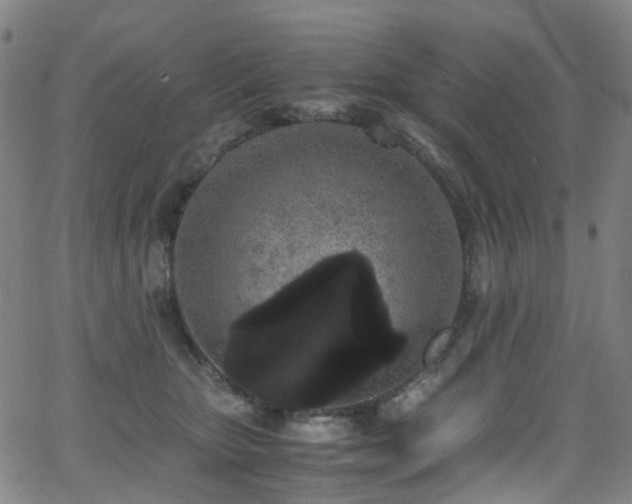 X0000062930467200601131516