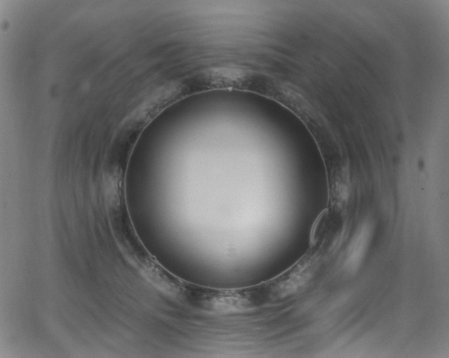 X0000062930468200601131516