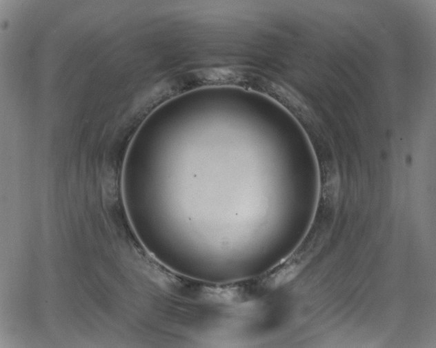 X0000062930469200601131516