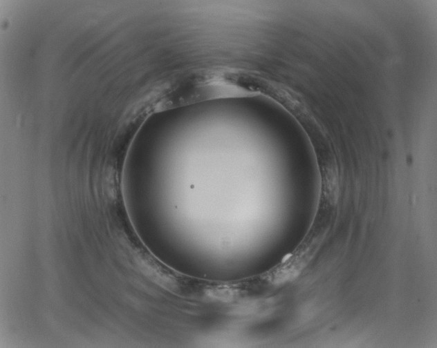 X0000062930470200601131516