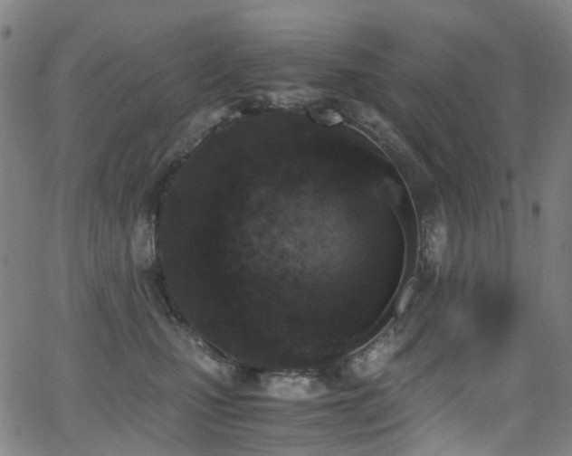 X0000062930471200601131516