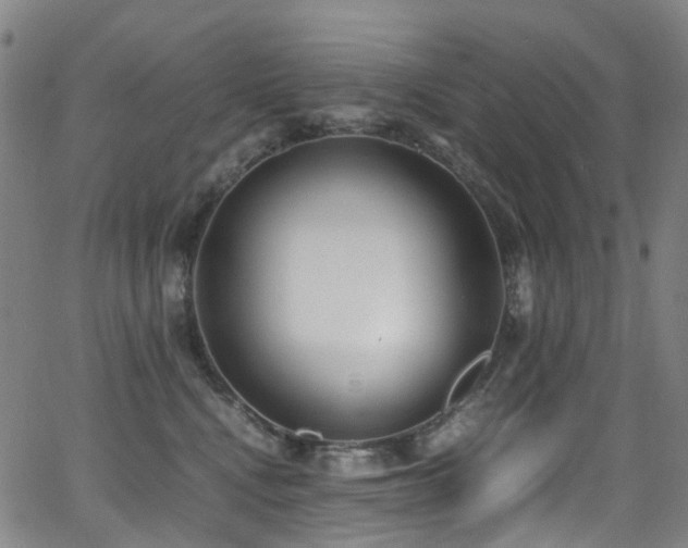 X0000062930472200601131516