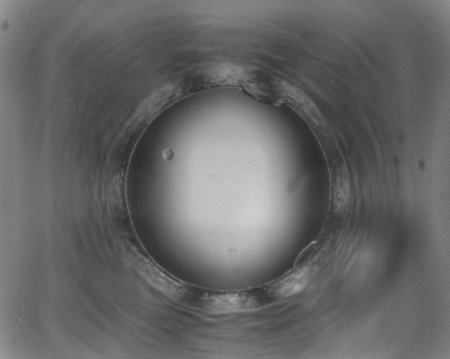 X0000062930473200601131516