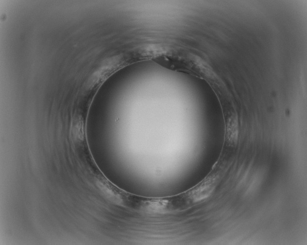 X0000062930474200601131516