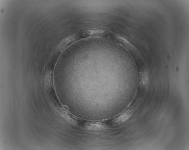 X0000062930475200601131516