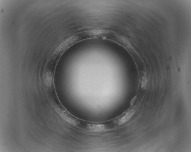 X0000062930476200601131516