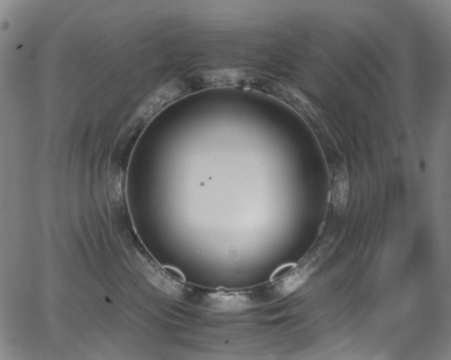 X0000062930477200601131516