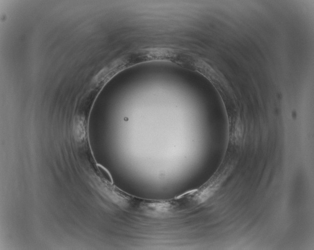 X0000062930478200601131516