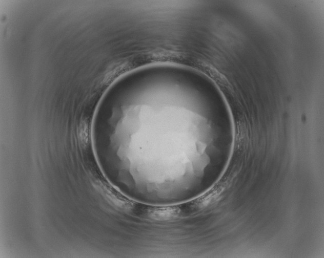 X0000062930479200601131516