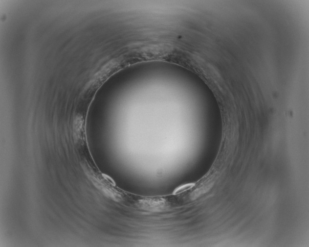 X0000062930480200601131516