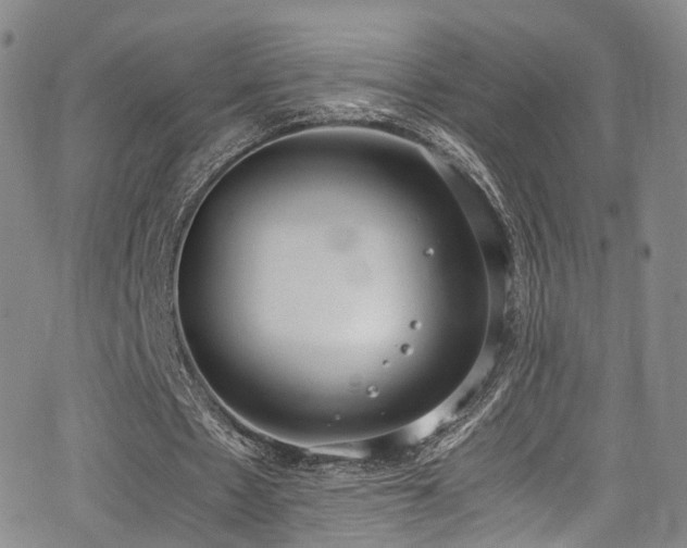 X0000062930481200601131515