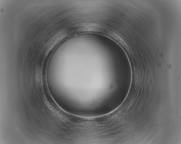 X0000062930482200601131515