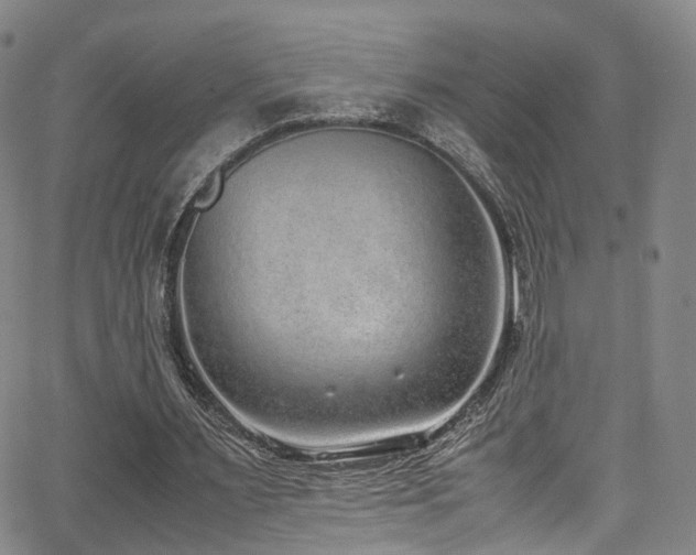 X0000062930483200601131515