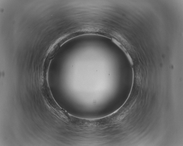 X0000062930484200601131515