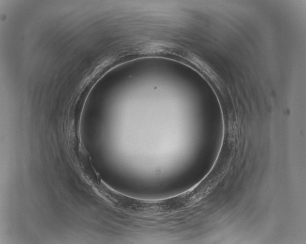 X0000062930485200601131515