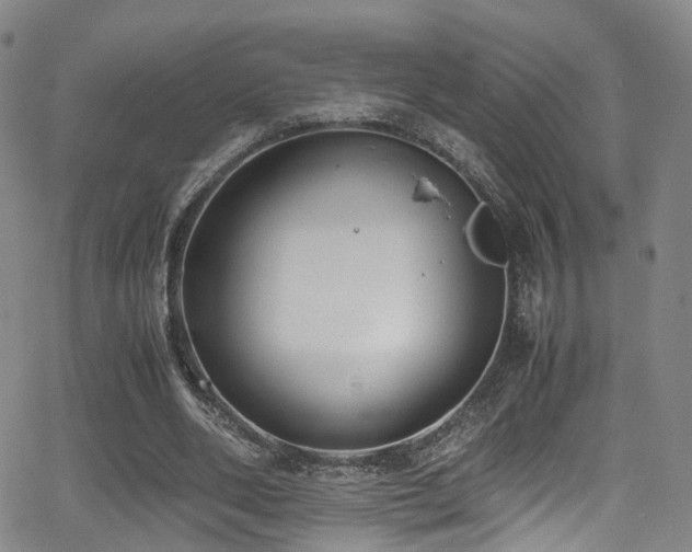 X0000062930486200601131515