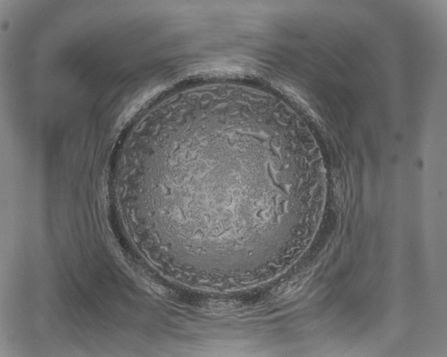 X0000062930487200601131515